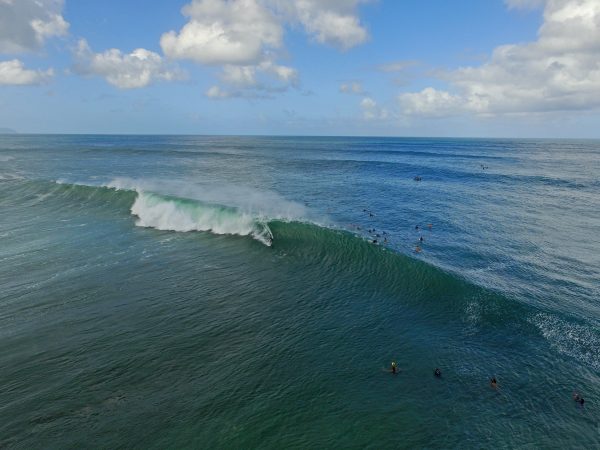 Hawaii travel tips by a North Shore lifeguard