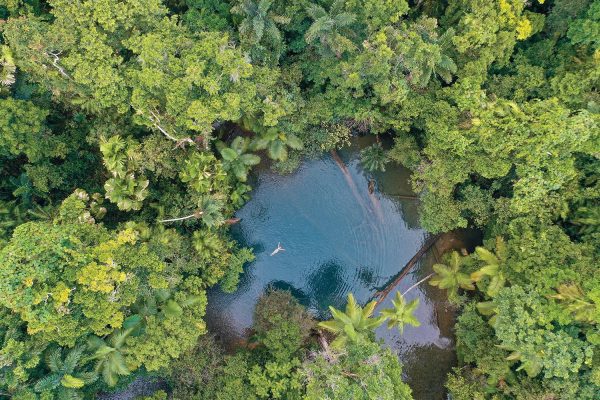 swimming in the daintree national park
